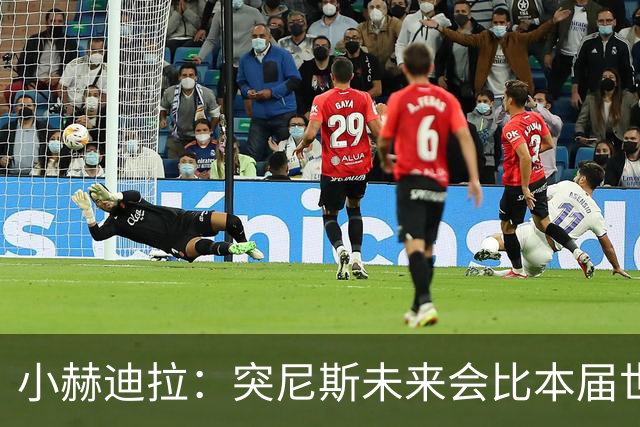 小赫迪拉：突尼斯未来会比本届世界杯更好 批评？我已经付出全力